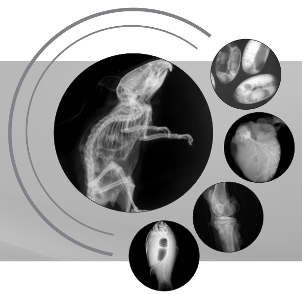 生命科學(xué)研究、小動(dòng)物、種子檢測(cè)