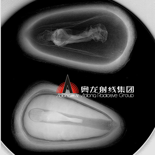 松子 (2).jpg 松子 (2).jpg